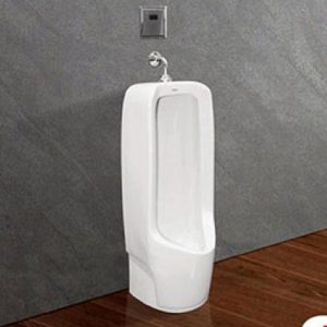 Tiểu nam Viglacera đặt sàn BS604