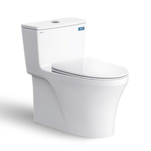 Bồn Cầu Viglacera HL2