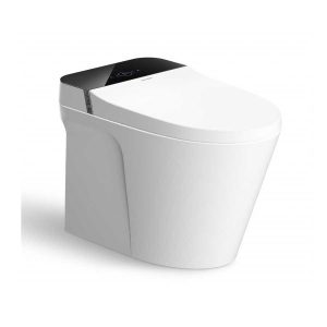 Bồn Cầu Thông Minh Viglacera V882F