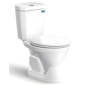 Bồn cầu Viglacera 2 khối VI66