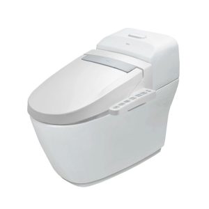 Bồn cầu điện tử INAX AC-1032+CW-H20VN