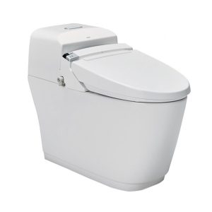 Bồn cầu điện tử INAX AC-1032+CW-KA22AVN/BW1