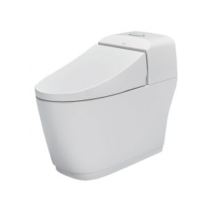 Bồn cầu INAX 1 khối AC-1032VN/BW1