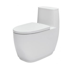 Bồn cầu INAX 1 khối AC-1052VN/BW1