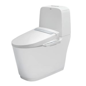 Bồn cầu nắp rửa điện tử Inax AC-832 + CW-H20VN