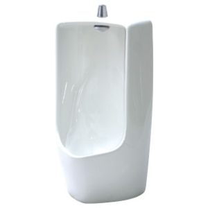 Bồn tiểu nam Inax U-411V/BW1