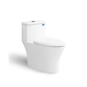 Bồn cầu 1 khối nắp êm Viglacera V803