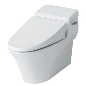 Bồn cầu INAX 1 khối AC-1017VRN/BW1