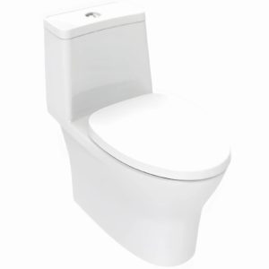 Bồn Cầu American Standard 2530-WT Flexio 1 Khối