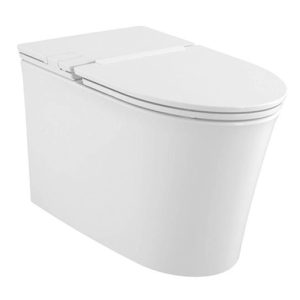 Bồn Cầu American Standard WP-3232