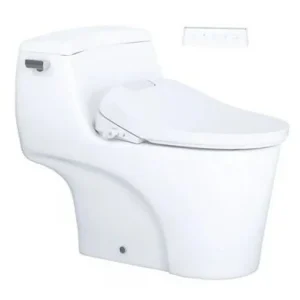 Bàn cầu 1 khối C1353F + Nắp rửa điện từ TAF610H