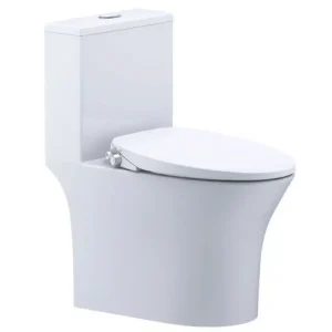 Bàn cầu 1 khối C1391F + Nắp rửa cơ TAF060