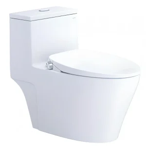 Bàn cầu 1 khối C1356F + Nắp rửa cơ TAF060