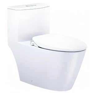 Bàn cầu 1 khối C1363F + Nắp rửa cơ TAF060