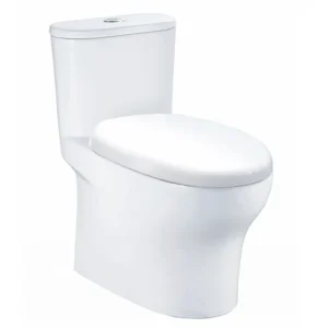 Bàn cầu 1 khối C1394