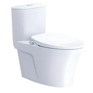 Bàn cầu 1 khối C1395F + Nắp rửa cơ TAF060