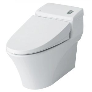 Bồn cầu INAX 1 khối AC-1008VRN/BW1