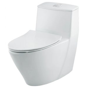 Bồn cầu INAX 1 khối AC-919VRN/BW1