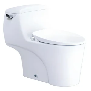 Bàn cầu 1 khối C1353F + Nắp rửa cơ TAF060