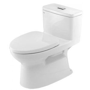 Bồn cầu INAX 1 khối AC-969VN/BW1