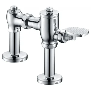 Bộ xả gạt tay bàn cầu BF525A