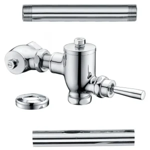 Bộ xả gạt tay bàn cầu BF523A