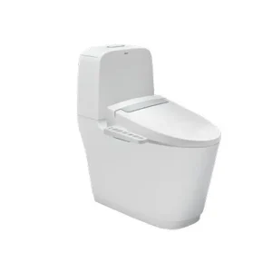 Bồn cầu 2 khối nắp điện tử INAX AC-832 + CW-H20VN