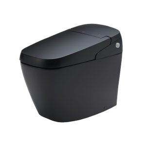 Bồn Cầu Thông Minh INAX AC-G216VN/BKG Màu Đen