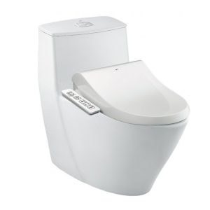 Bồn cầu nắp điện tử INAX AC-919R+CW-H17VN/BW1