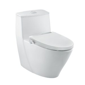 Bồn cầu INAX nắp rửa cơ AC-919R+CW-S32VN/BW1