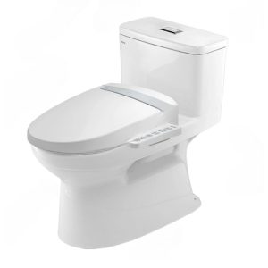 Bồn cầu điện tử INAX AC-969+CW-H20VN