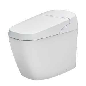 Bồn Cầu Thông Minh INAX AC-G216VN/BW1