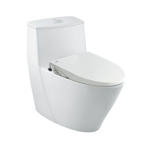 Bồn cầu 1 khối nắp rửa cơ INAX AC-919R+CW-S15VN/BW1