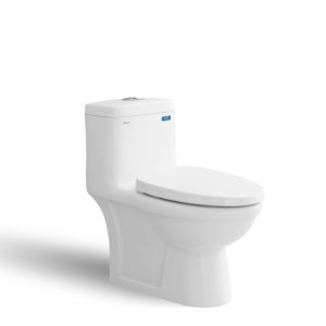 Bồn Cầu Viglacera V825